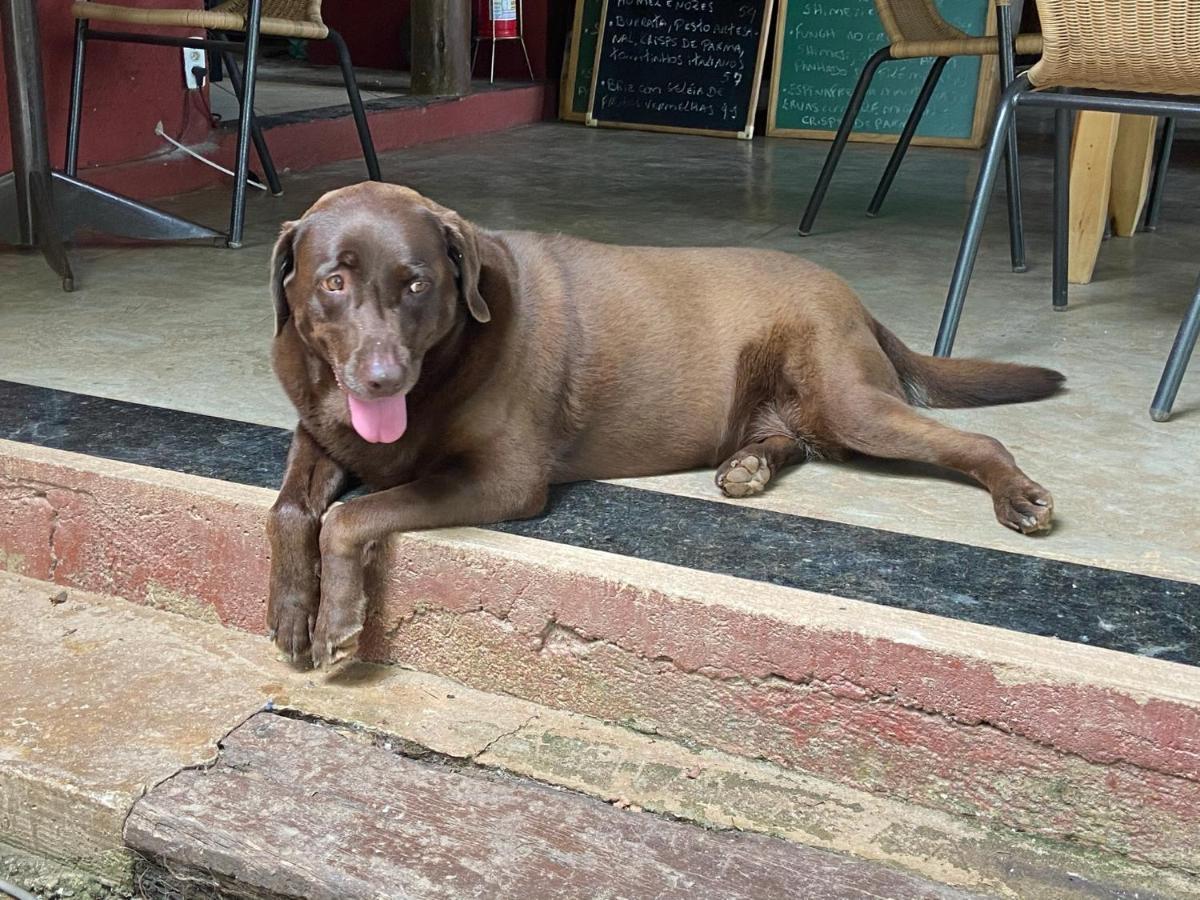 A Mi Manera Pousada , Cerveja Propria E Bistro ! Brumadinho Ngoại thất bức ảnh